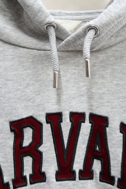 Sweat à capuche gris "Harvard" - H&M - M